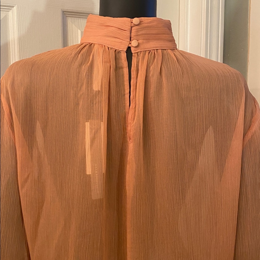 Anthropologie Sheer Terracotta Blouse Top NWTs - Picture 9 of 13